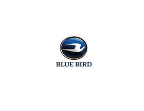 Blue Bird